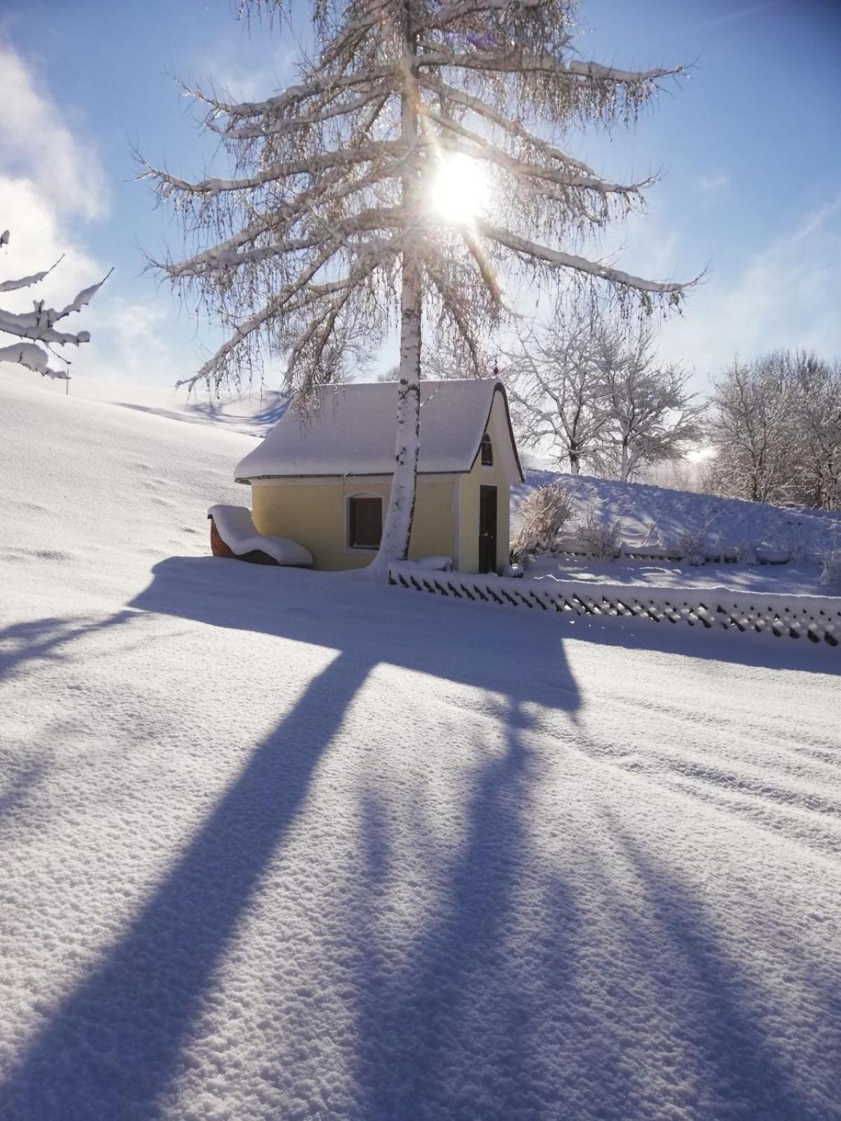 Alpenchalets Oberlaiming Іттер Екстер'єр фото